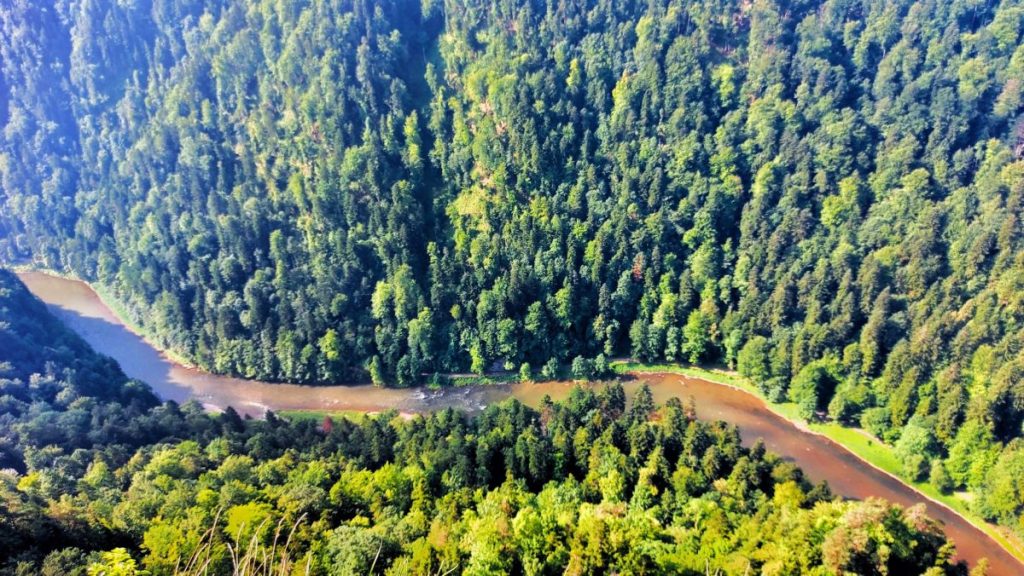 Sokolica Pieniny szczyt góry