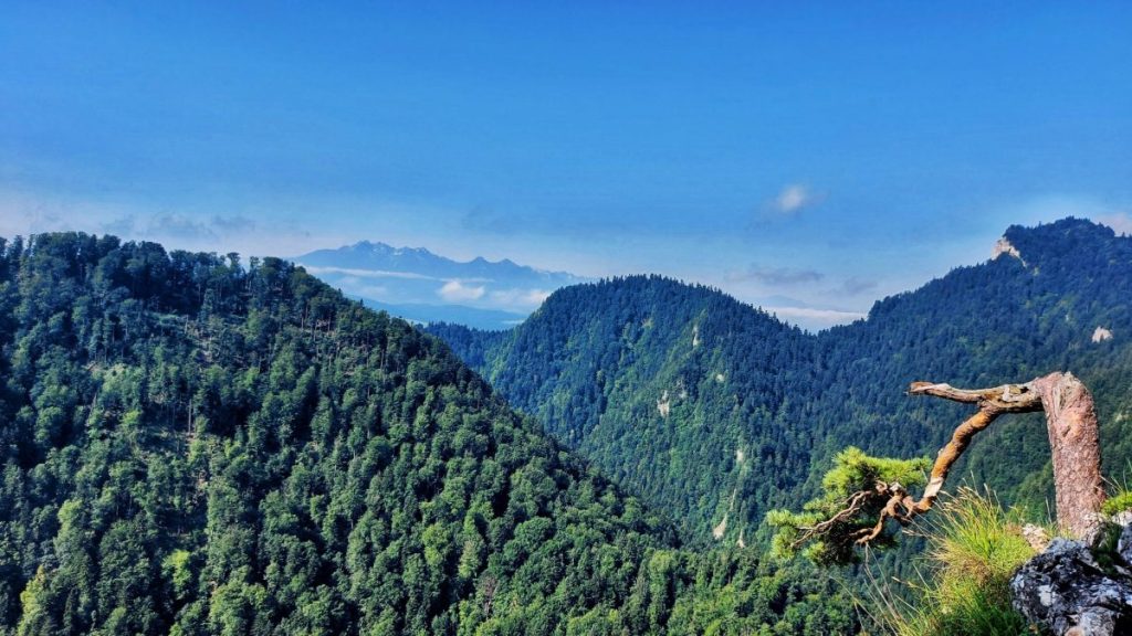 Sokolica Pieniny szczyt góry