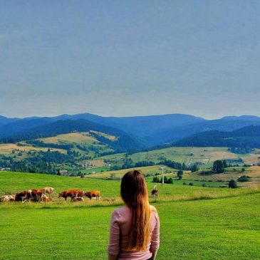 Wejście do Wąwozu Homole – początek trasy w Jaworkach.