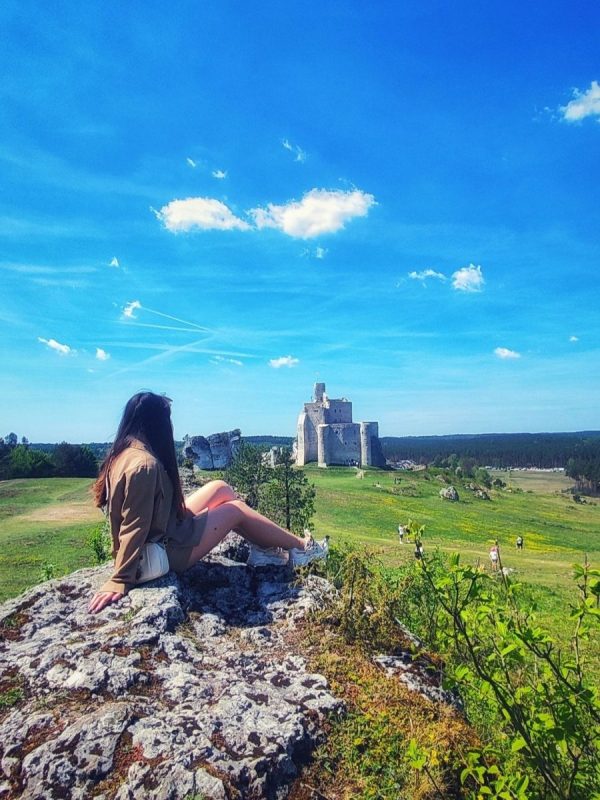 Panorama okolic Zamku w Mirowie z widokiem na jurajskie wapienne skały.