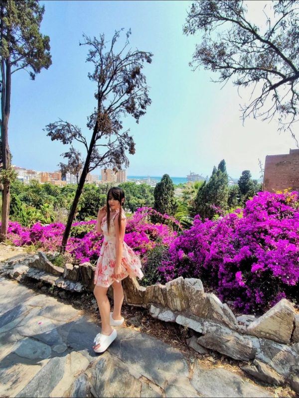 Twierdza Alcazaba w Maladze z palmami w tle