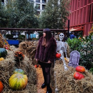 Browary Warszawskie Plac Centralny, jesienna dekoracja Halloween z geometrycznie ułożonymi dyniami i wrzosami, w tle industrialna, ceglana architektura kompleksu.